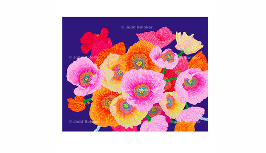 New Print: Icelandic Poppy x Kingdom of Hawaii