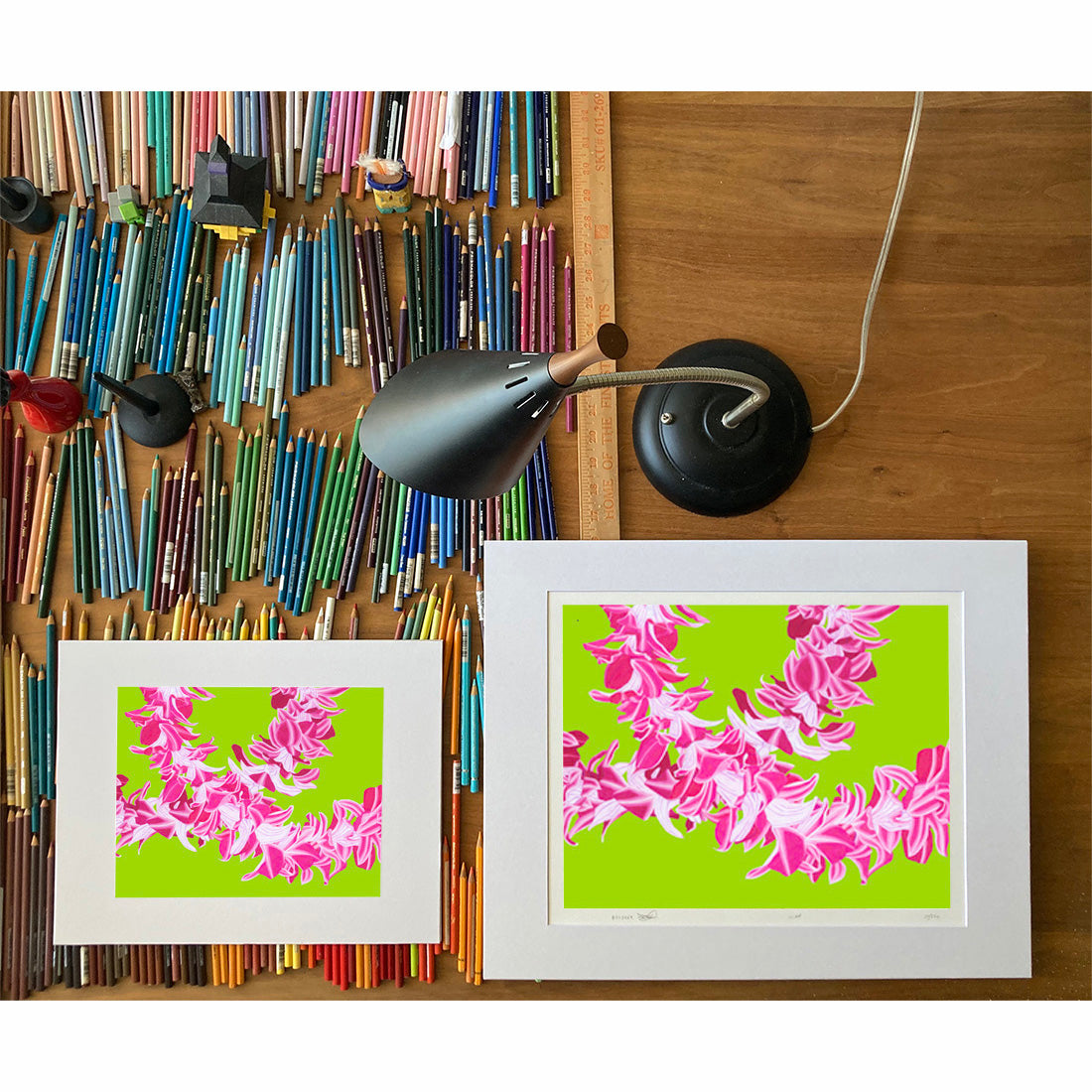 Double Orchid. lei flower art print by Oahu visual artist Judd Boloker. Made in Hawaii. Hawaiian flower artwork. Drawing of Hawaii