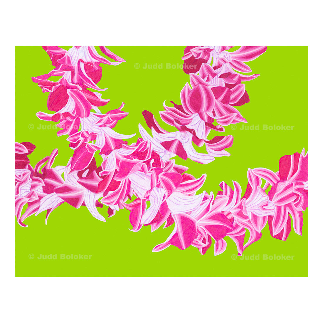 Double Orchid. lei wall art print by Oahu visual artist Judd Boloker.  Made in Hawaii.  Hawaiian print.  Fine Art from Hawaii