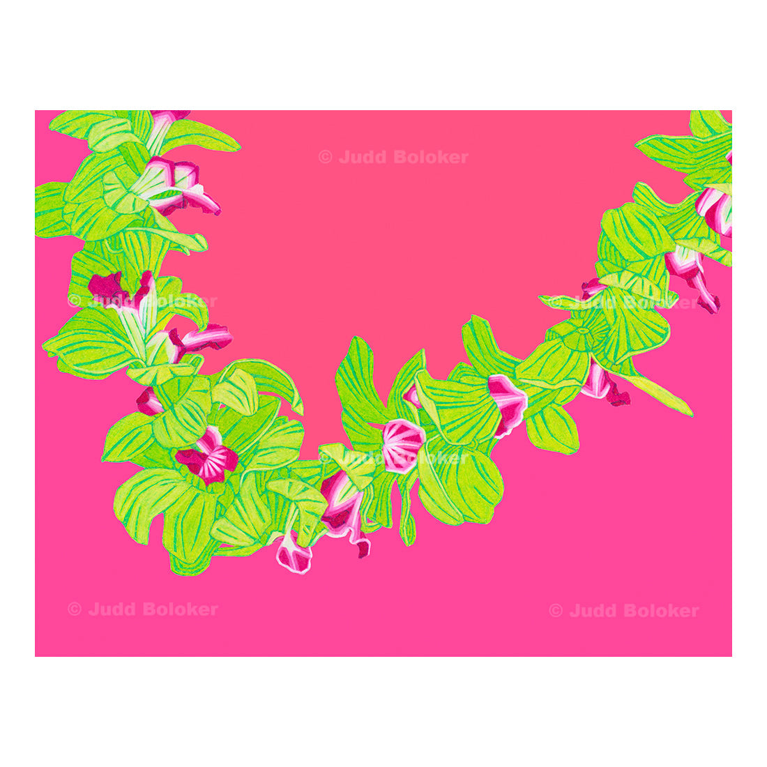 Green Orchid Lei. lei wall art print by Oahu visual artist Judd Boloker.  Made in Hawaii.  Hawaiian print.  Fine Art from Hawaii