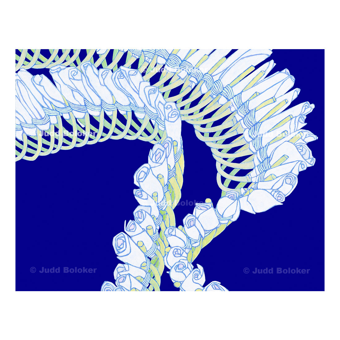 Micronesian ginger lei wall art print by Oahu visual artist Judd Boloker. Made in Hawaii. Hawaiian print. Fine Art from Hawaii