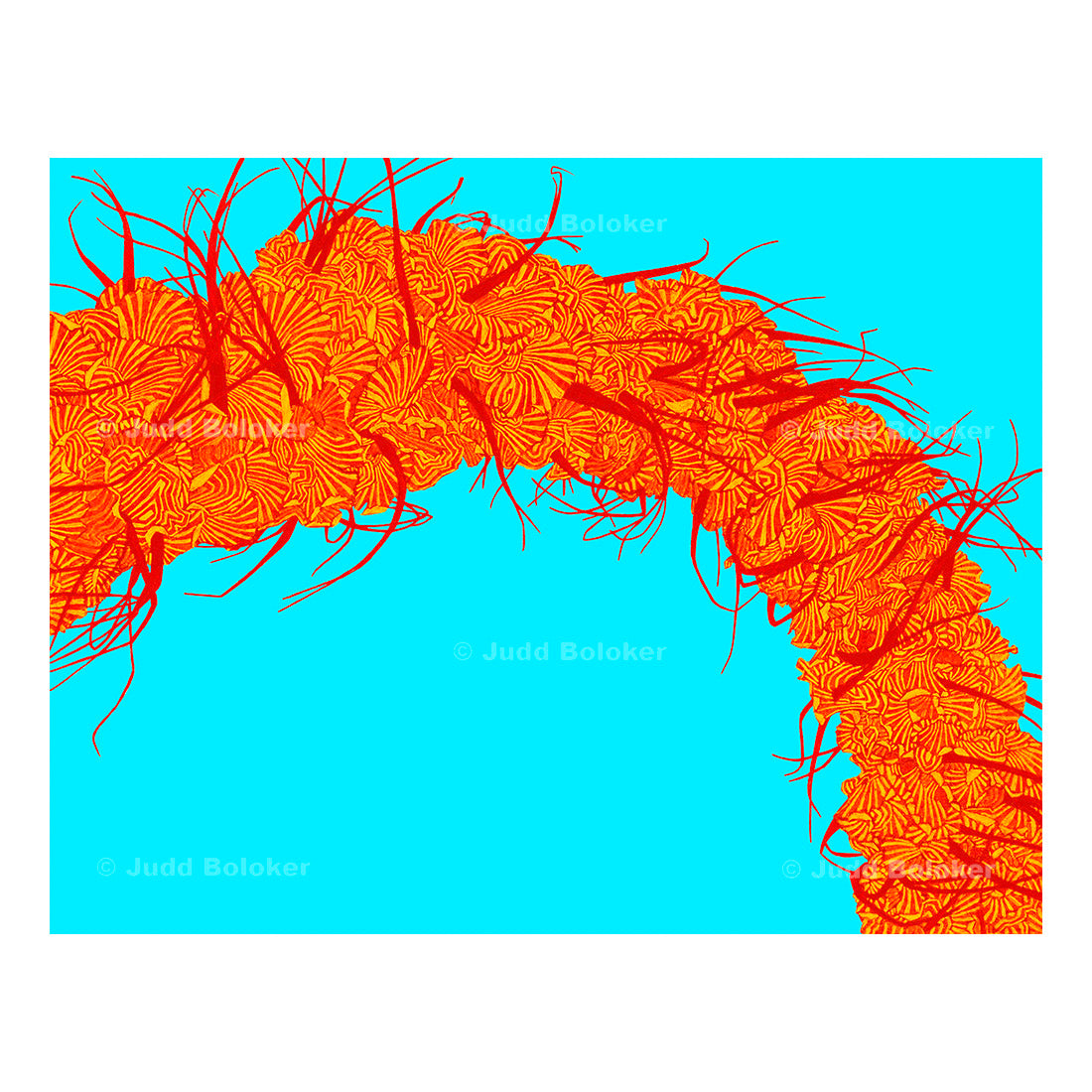 Ohai Ali'i lei wall art print by Oahu visual artist Judd Boloker.  Made in Hawaii.  Hawaiian print.  Fine Art from Hawaii