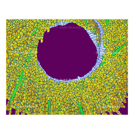Rice lei wall art print by Oahu visual artist Judd Boloker.  Made in Hawaii.  Hawaiian print.  Fine Art from Hawaii