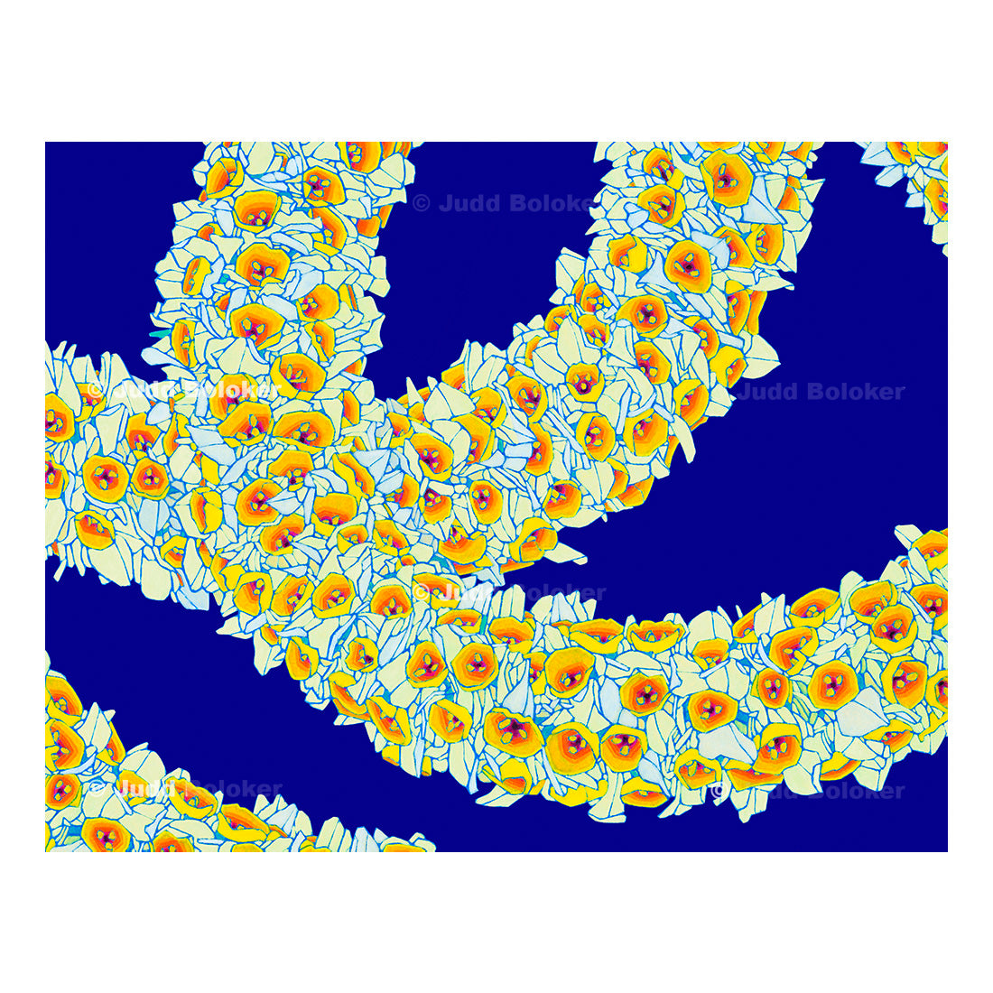 Daffodil lei wall art print by Oahu visual artist Judd Boloker. Made in Hawaii. Hawaiian print. Fine Art from Hawaii