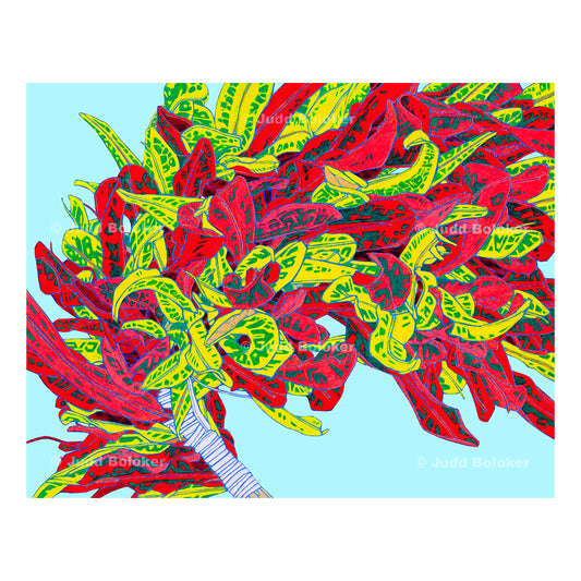 Croton Mammy. lei wall art print by Oahu visual artist Judd Boloker.  Made in Hawaii.  Hawaiian print.  Fine Art from Hawaii