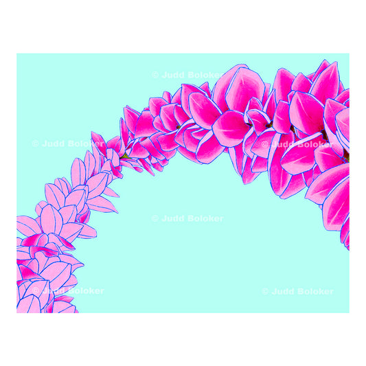 pink plumeria lei wall art print by Oahu visual artist Judd Boloker.  Made in Hawaii.  Hawaiian print.  Fine Art from Hawaii