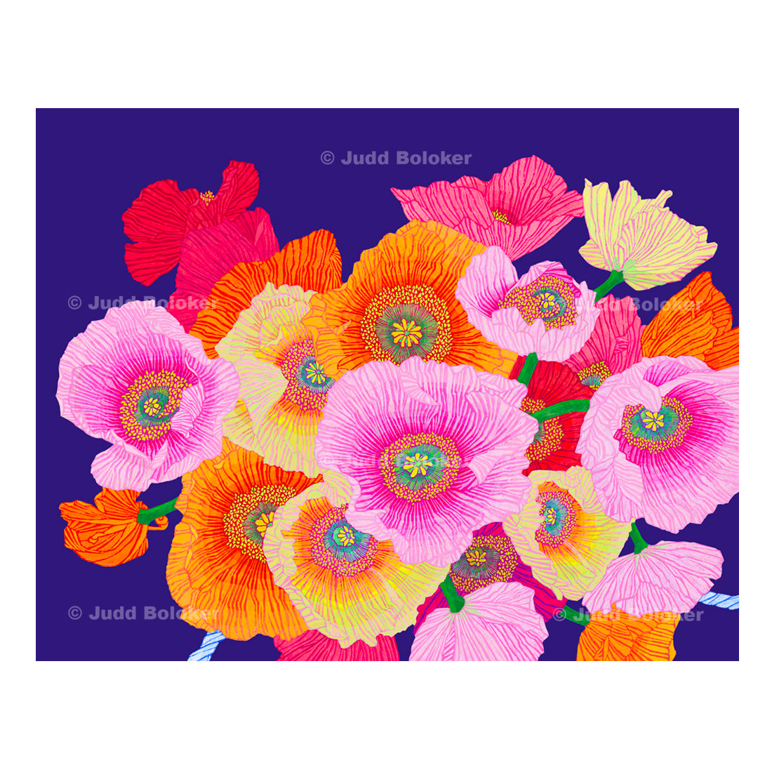 Icelandic Poppy lei wall art print by Oahu visual artist Judd Boloker.  Made in Hawaii.  Hawaiian print.  Fine Art from Hawaii