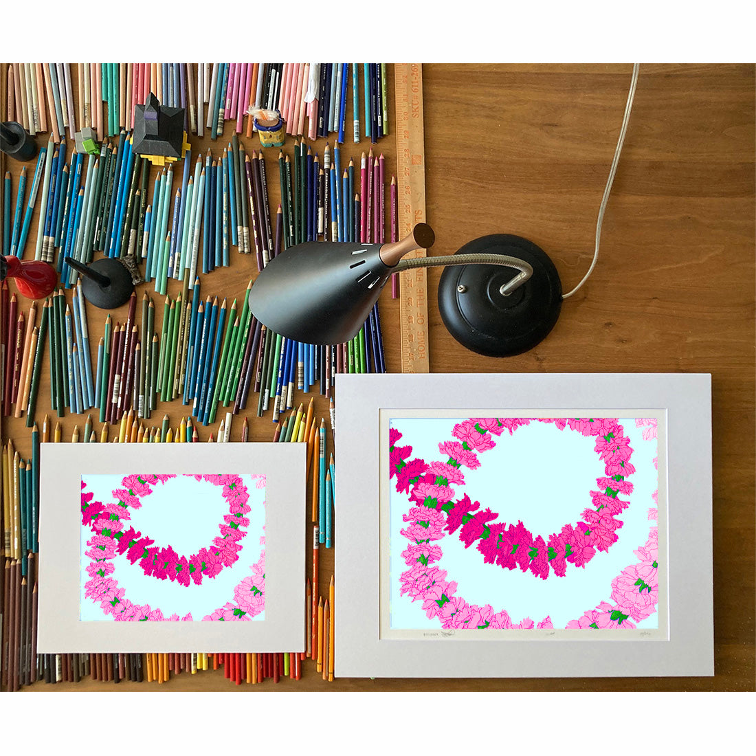 Carnation Ombre - lei flower art print by Oahu visual artist Judd Boloker.  Made in Hawaii. Hawaiian flower artwork.  Drawing of Hawaii