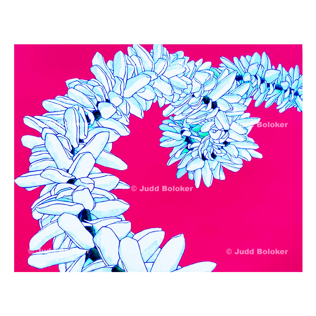 Tiare. Tahitian Gardenia. lei wall art print by Oahu visual artist Judd Boloker. Made in Hawaii. Hawaiian print. Fine Art from Hawaii