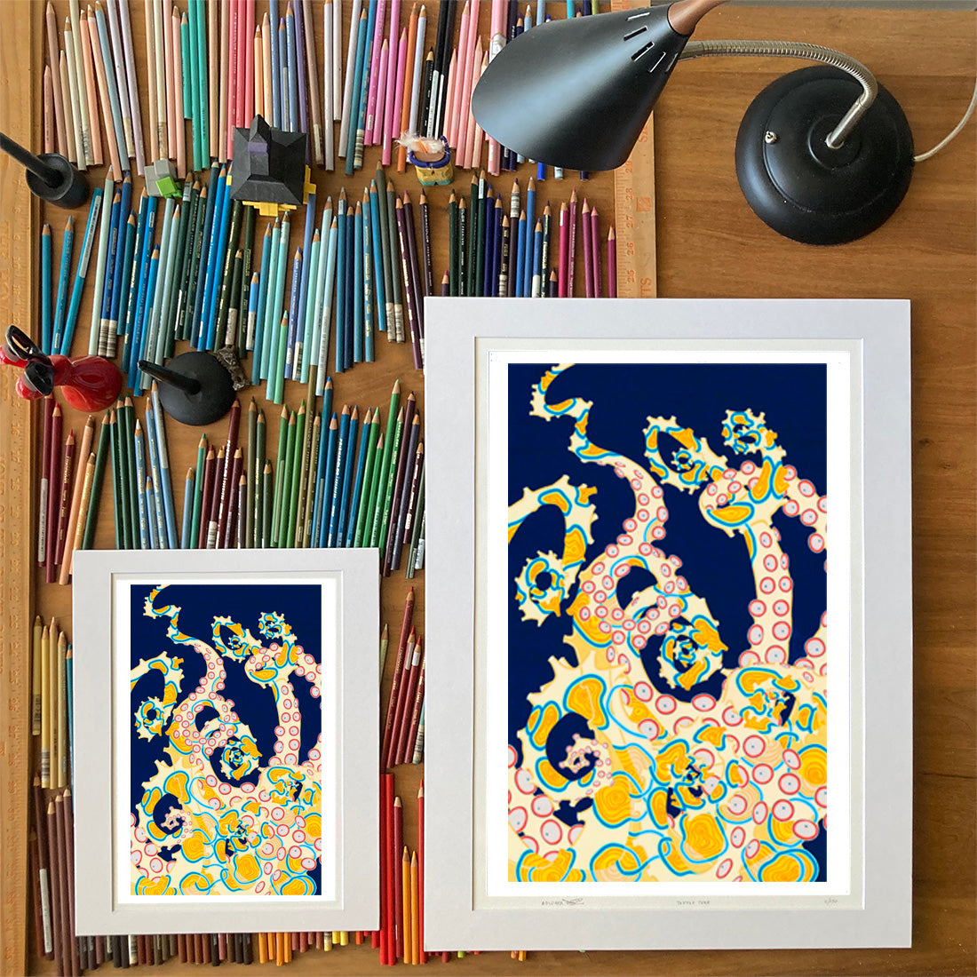 Blue Ringed Octopus Drawings of sea life by Oahu visual artist Judd Boloker.  Made in Hawaii. Fine Art from Hawaii. 