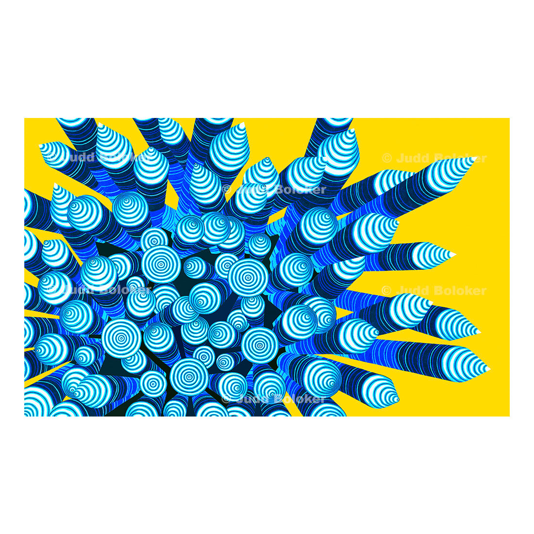 Blue Black Sea Urchin Sea life wall art print by Oahu visual artist Judd Boloker.  Made in Hawaii.  Hawaiian Print. Shell artwork.