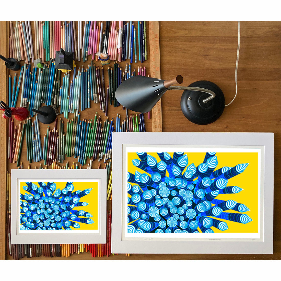 Blue Black Sea Urchin Drawings of sea life by Oahu visual artist Judd Boloker.  Made in Hawaii. Fine Art from Hawaii. Art Shell Print.