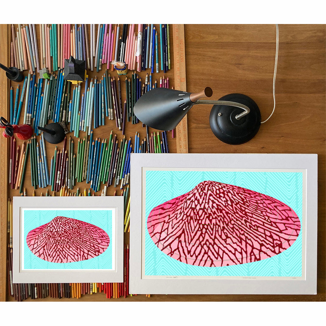 Clam Shell. Drawings of sea life by Oahu visual artist Judd Boloker.  Made in Hawaii. Fine Art from Hawaii. Art Shell Print