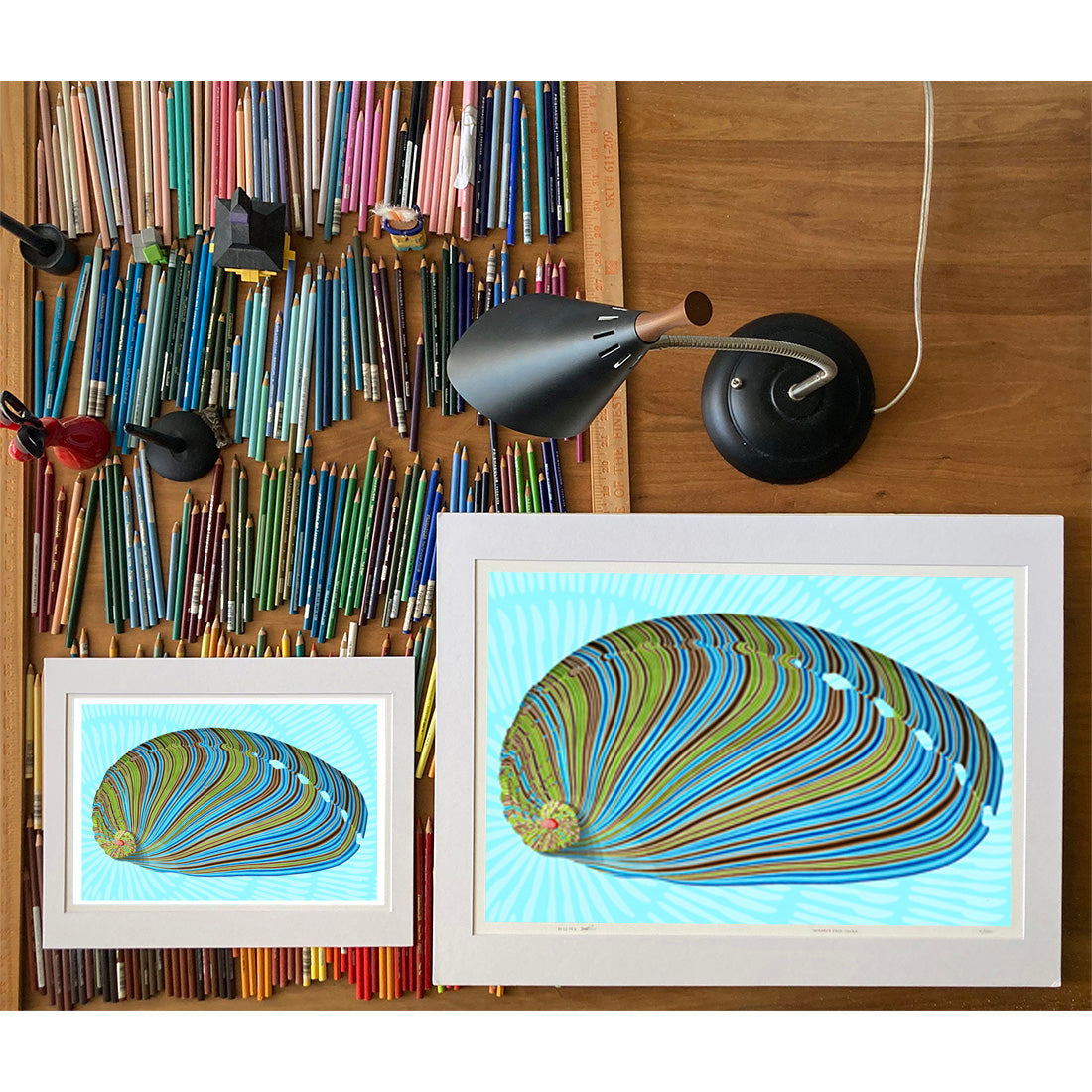 Abalone Drawings of sea life by Oahu visual artist Judd Boloker.  Made in Hawaii. Fine Art from Hawaii. Art Shell Print.