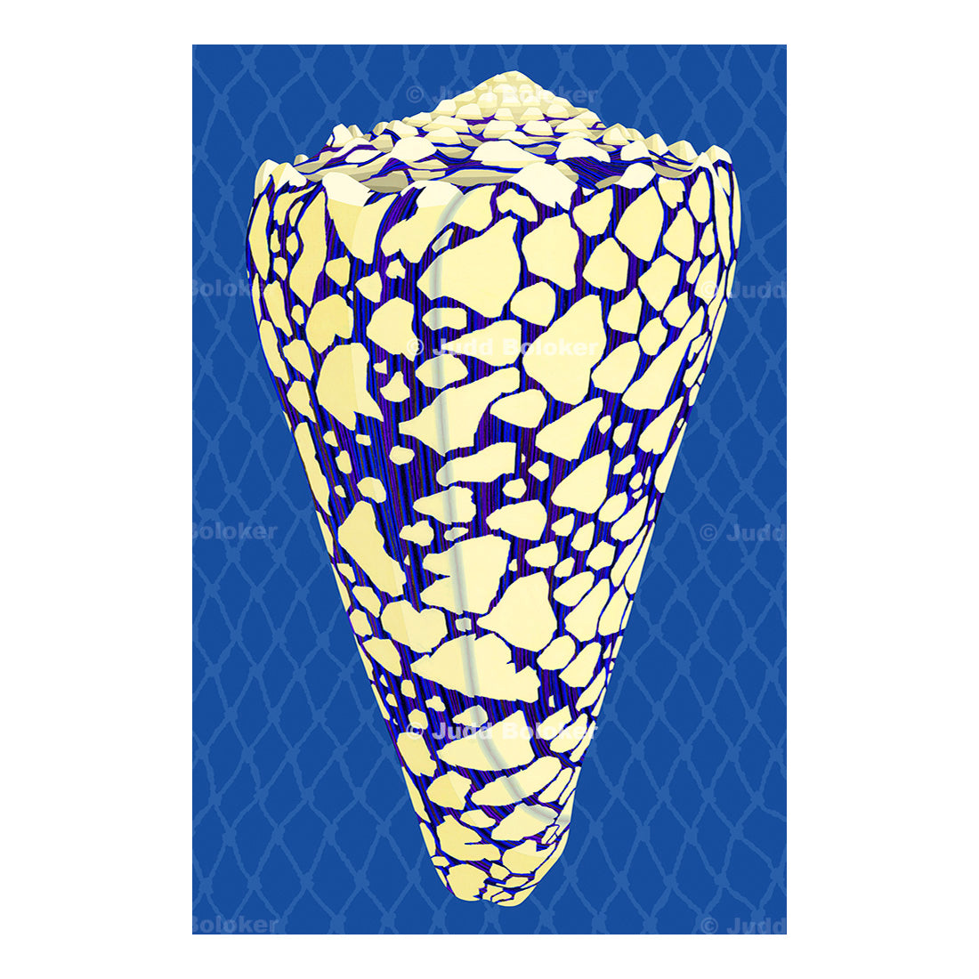 Banded Marble Cone