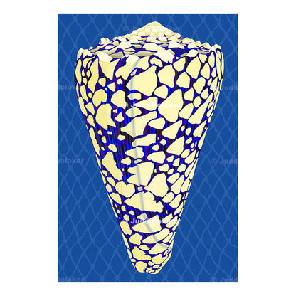 Banded Marble Cone