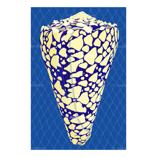 Banded Marble Cone