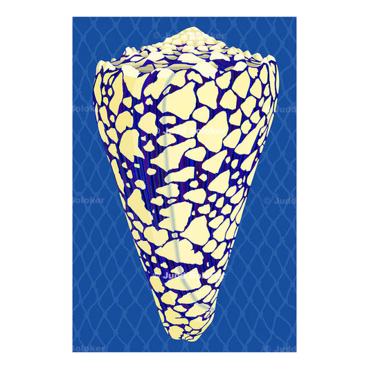 Banded Marble Cone