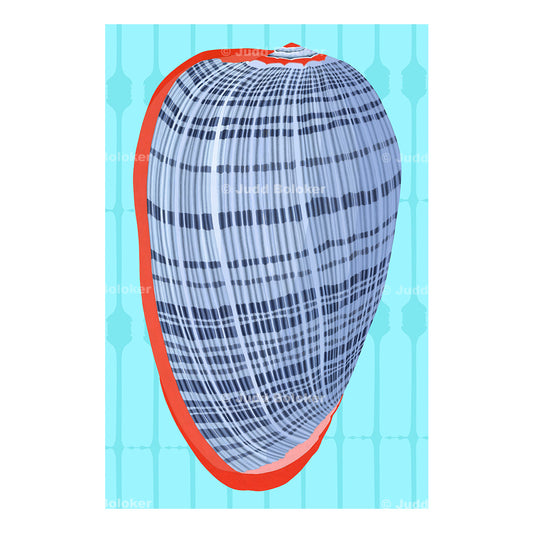 Cryptospira Elegans. Sea life wall art print by Oahu visual artist Judd Boloker.  Made in Hawaii.  Hawaiian Print. Shell artwork.