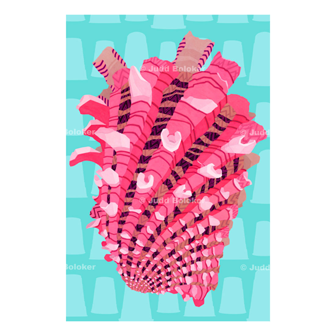 Australian Cardita Sea life wall art print by Oahu visual artist Judd Boloker.  Made in Hawaii.  Hawaiian Print. Shell artwork.