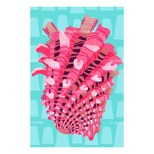 Australian Cardita Sea life wall art print by Oahu visual artist Judd Boloker.  Made in Hawaii.  Hawaiian Print. Shell artwork.
