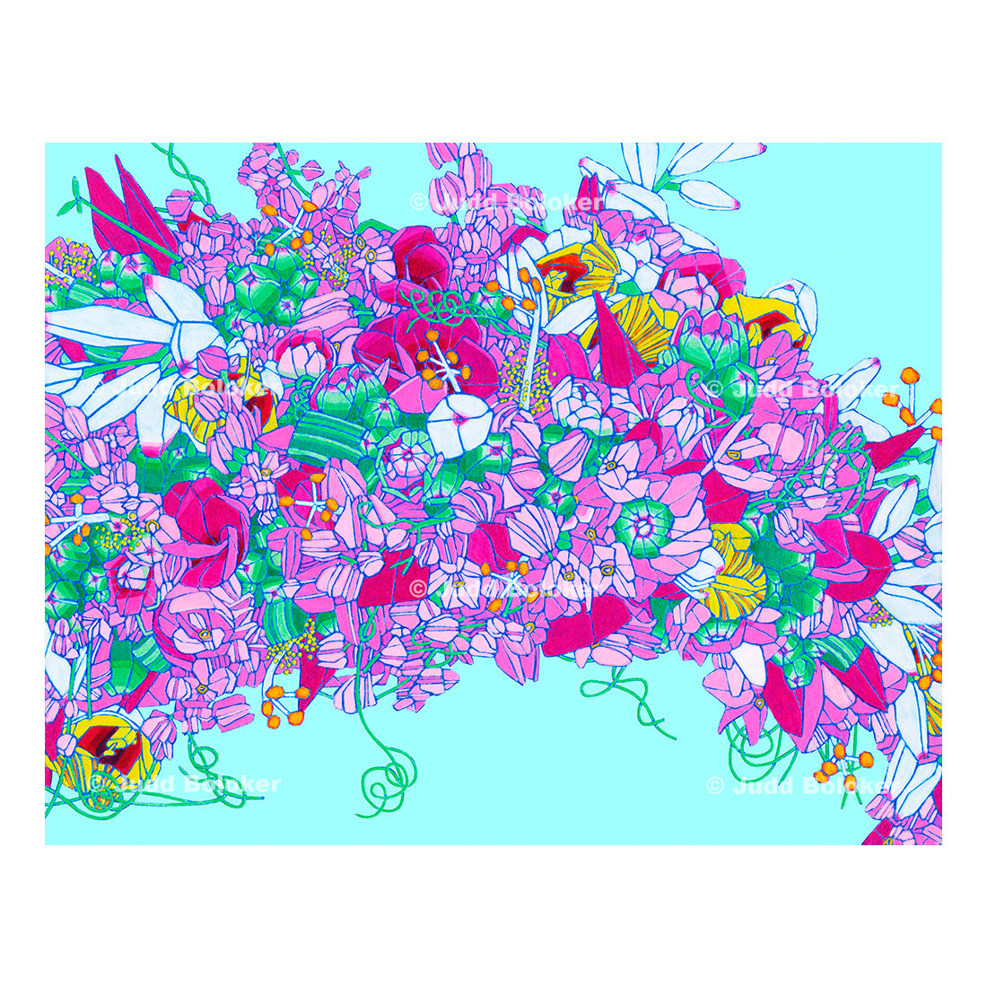 Shell GingerLei Flower Art Print - Made in Hawaii by Oahu visual artist Judd Boloker. Fine Art from Hawaii.
