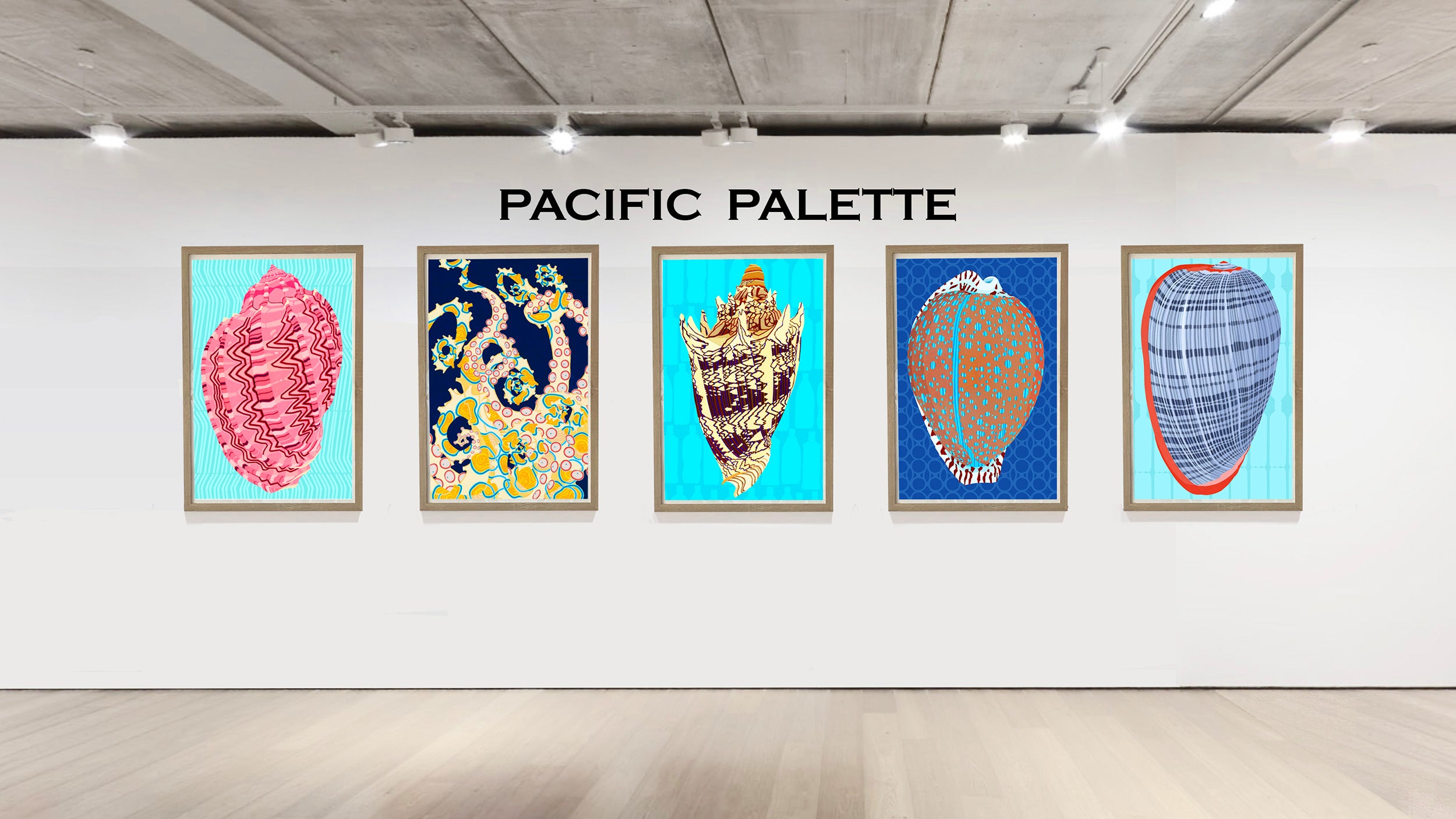 Judd Boloker Sea Life Art Prints – Made in Hawaii. This portfolio of drawings of sea life features Art Shells by the Oahu Visual Artist.