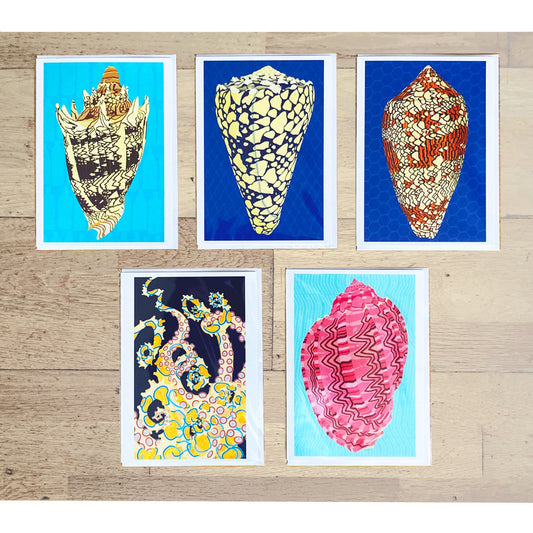 Hawaiian Sea life Greeting cards by visual artist Judd Boloker.  Made in Hawaii. Art Shell notecards from Hawaii.  