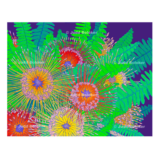 Pincushion Protea:  The Process