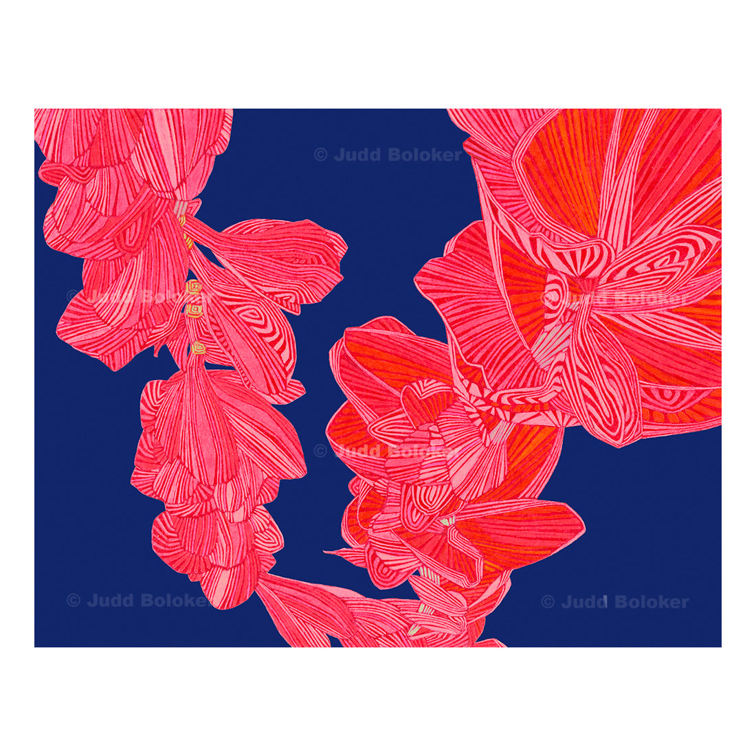 plumeria lei wall art print by Oahu visual artist Judd Boloker.  Made in Hawaii.  Hawaiian print.  Fine Art from Hawaii