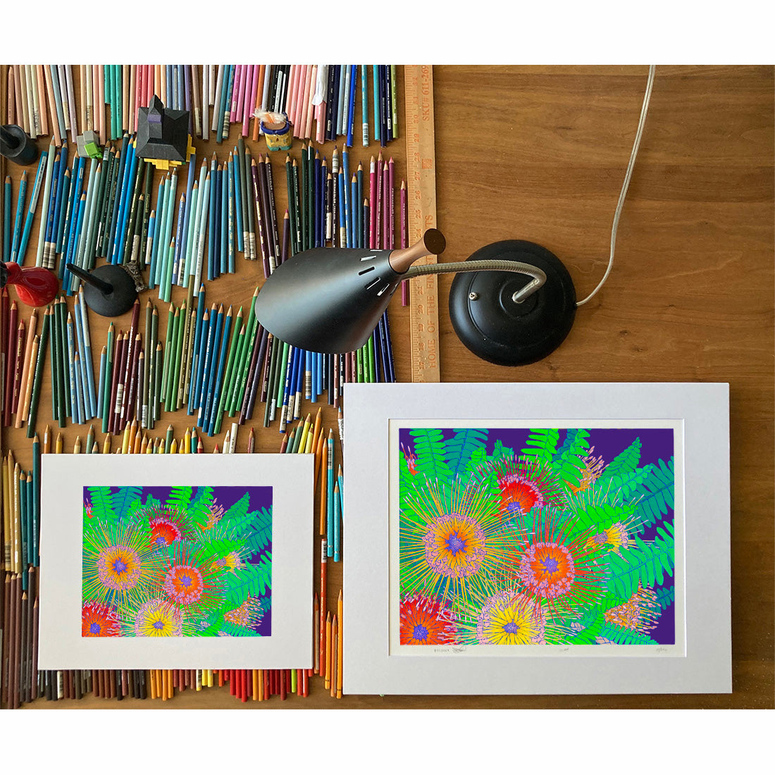 Pincushion Protea. lei flower art print by Oahu visual artist Judd Boloker.  Made in Hawaii. Hawaiian flower artwork.  Drawing of Hawaii