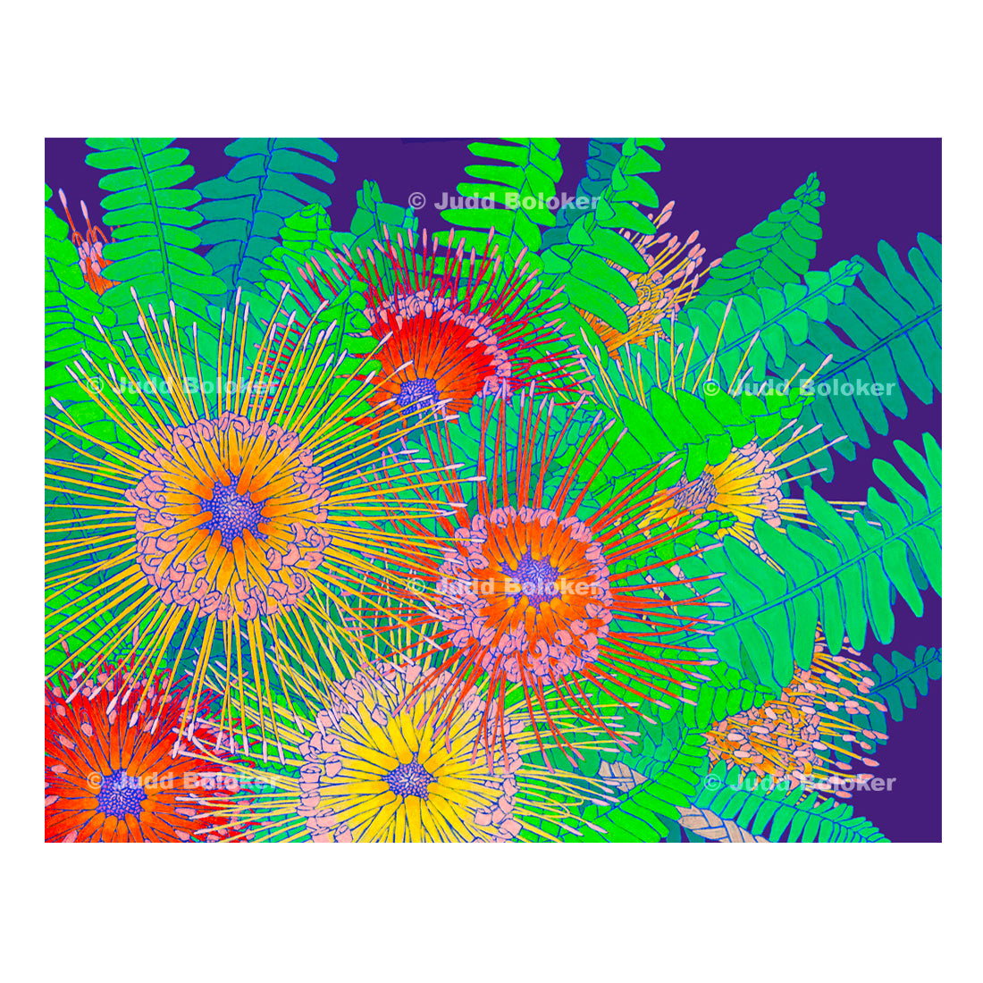 Pincushion Protea lei wall art print by Oahu visual artist Judd Boloker.  Made in Hawaii.  Hawaiian print.  Fine Art from Hawaii