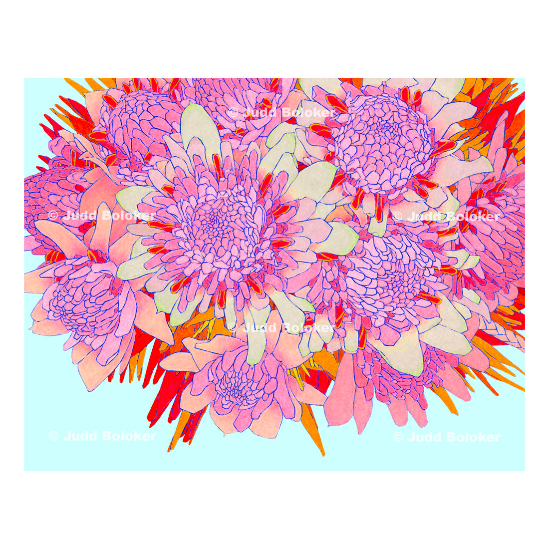 Torch Ginger. lei wall art print by Oahu visual artist Judd Boloker.  Made in Hawaii.  Hawaiian print.  Fine Art from Hawaii